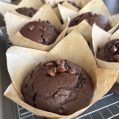 Double Chocolate Chip Muffin 4” (Bakery Size, 2 Count)