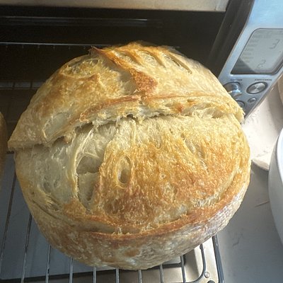 Big Boy Sourdough Bread-1000 Grams 