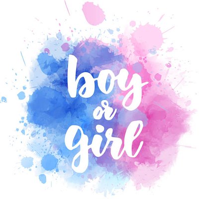 Gender Reveal 