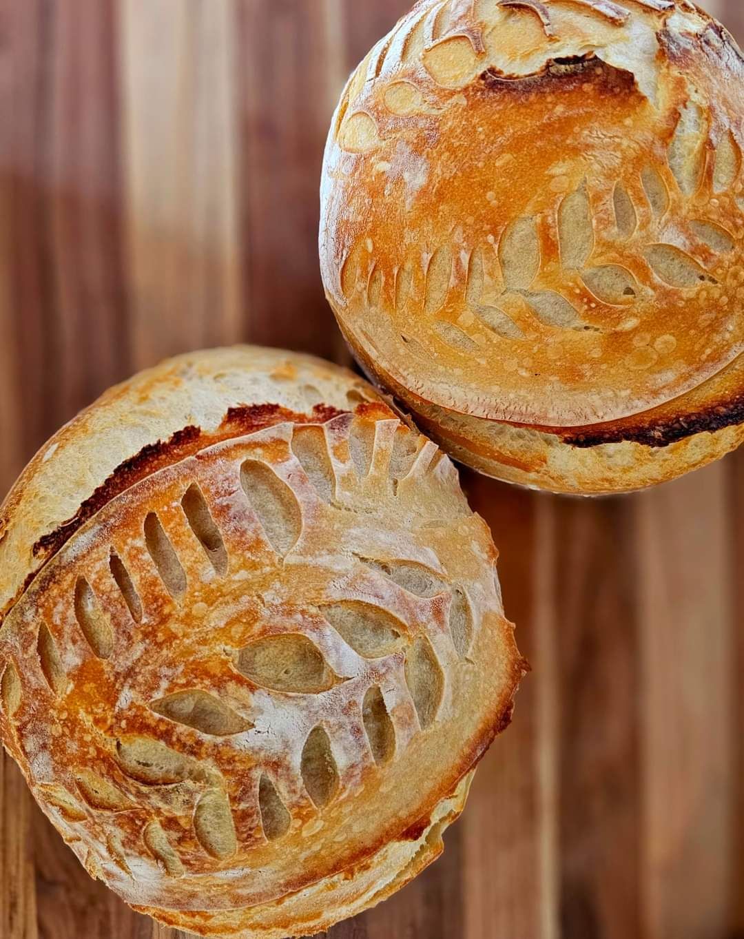 Sourdough Round Loaf