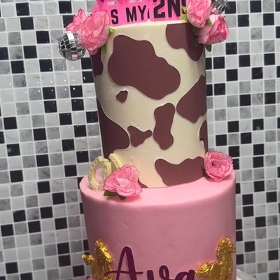Two Tier Cake 4x6 