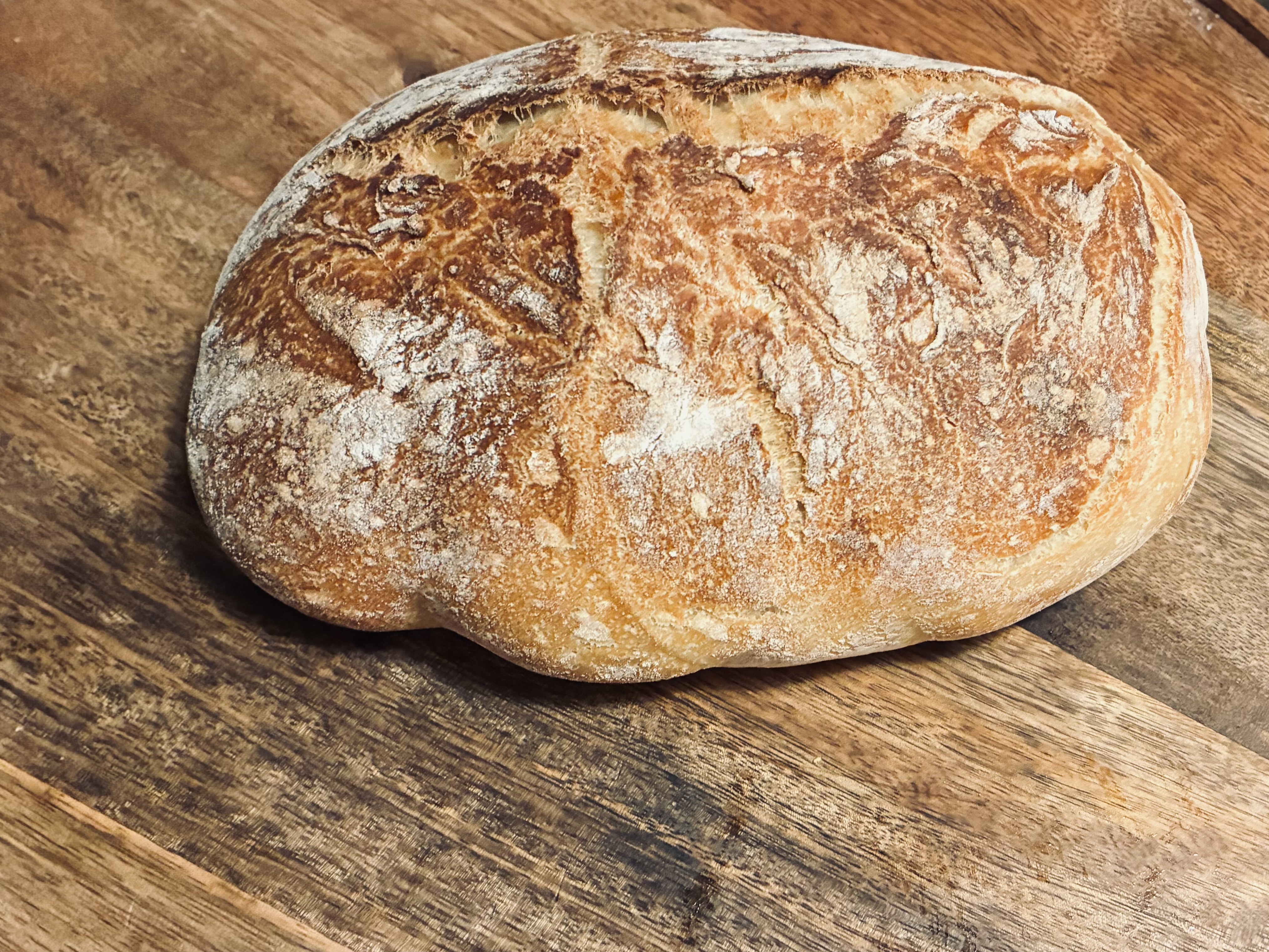 Artisan Bread 