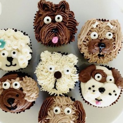 Cupcake - Animals 