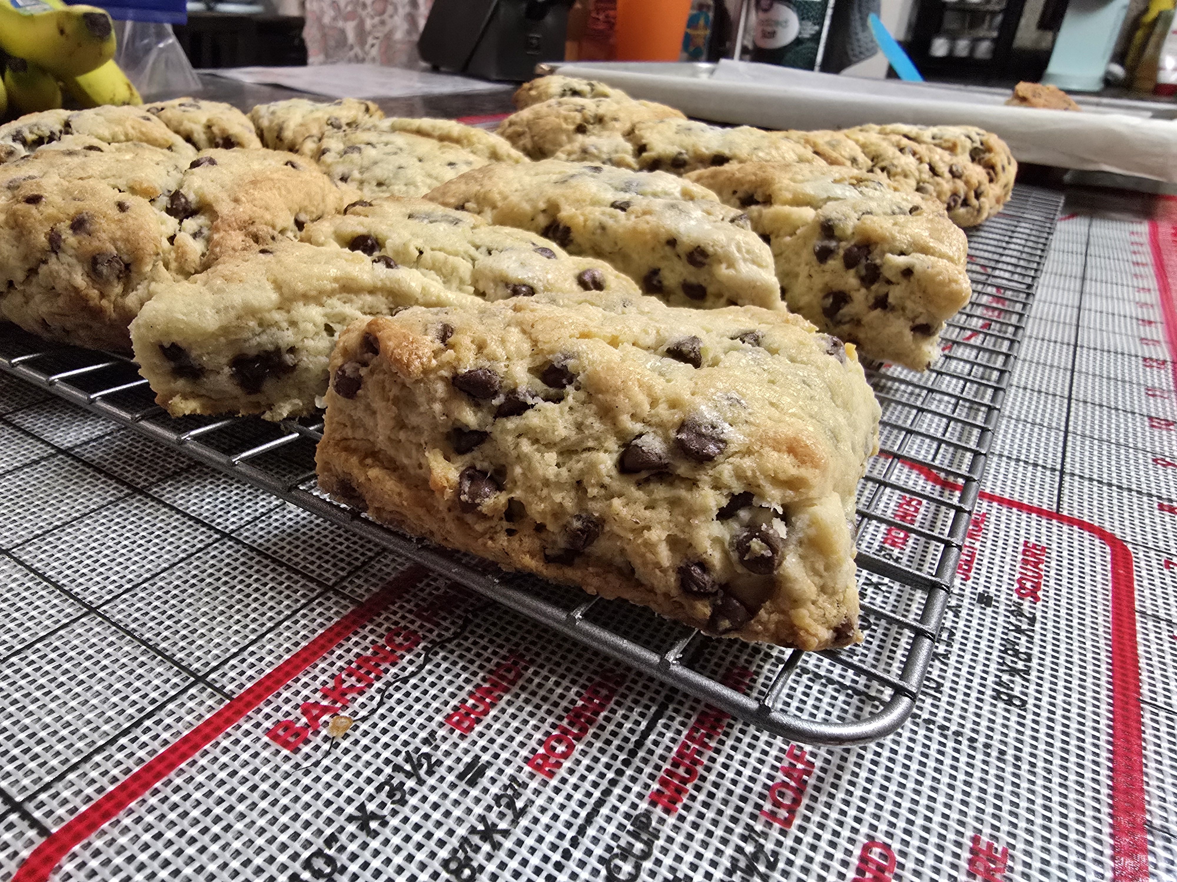 Chocolate Sourdough Scones 4 For $12