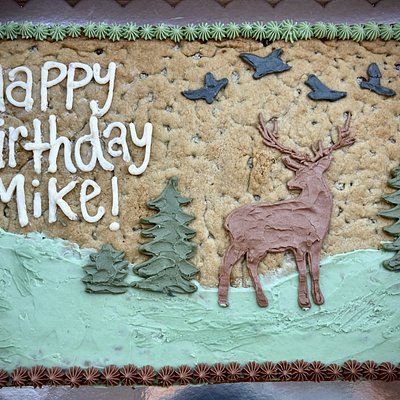 11x17 Sheet Cake (Single Layer)