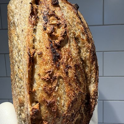 Herb & Garlic  Loaf