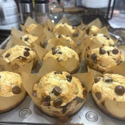  Chocolate Chip