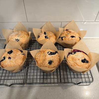 Homemade Muffins