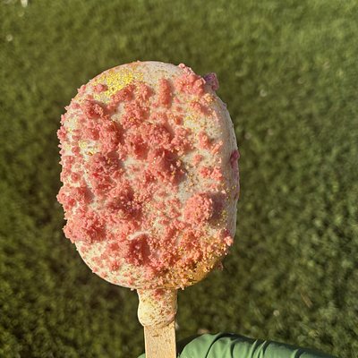 STUFFED Cake Pops 