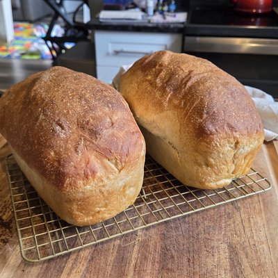 Organic Sourdough Sandwich Bread 