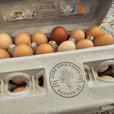 Dozen Eggs