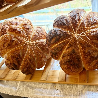 Pumpkin Shaped Organic Plain Jane Sourdough