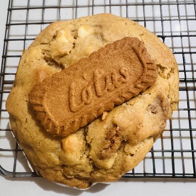 Biscoff New Style Cookie