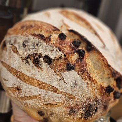 Cranberry Walnut Sourdough Boule