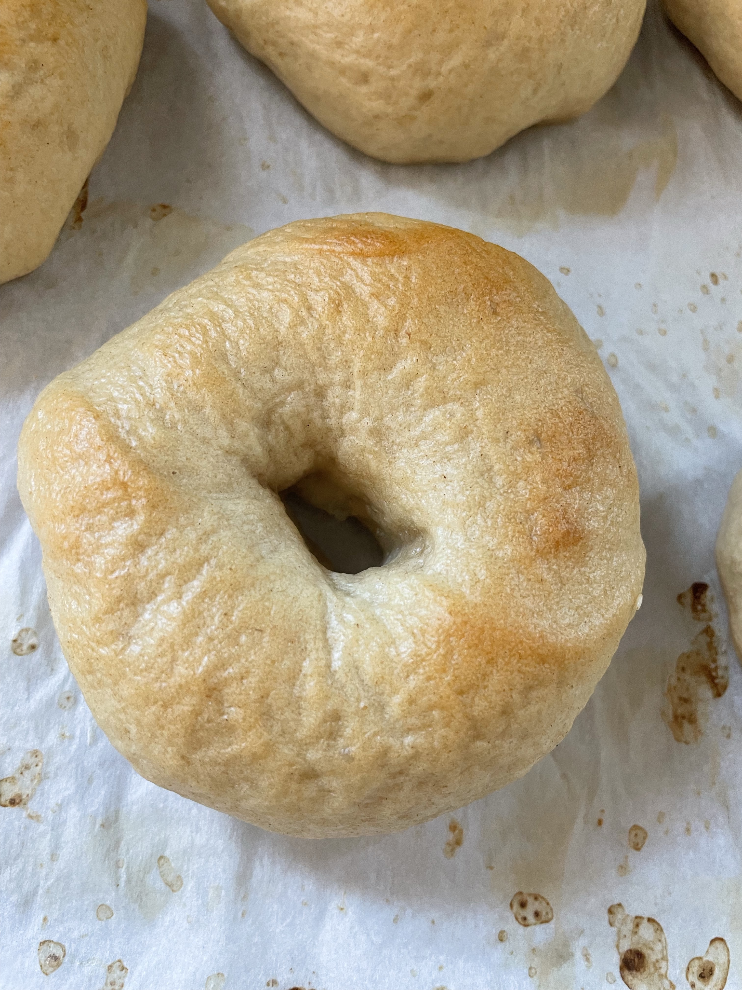 Organic Plain Sourdough Bagels