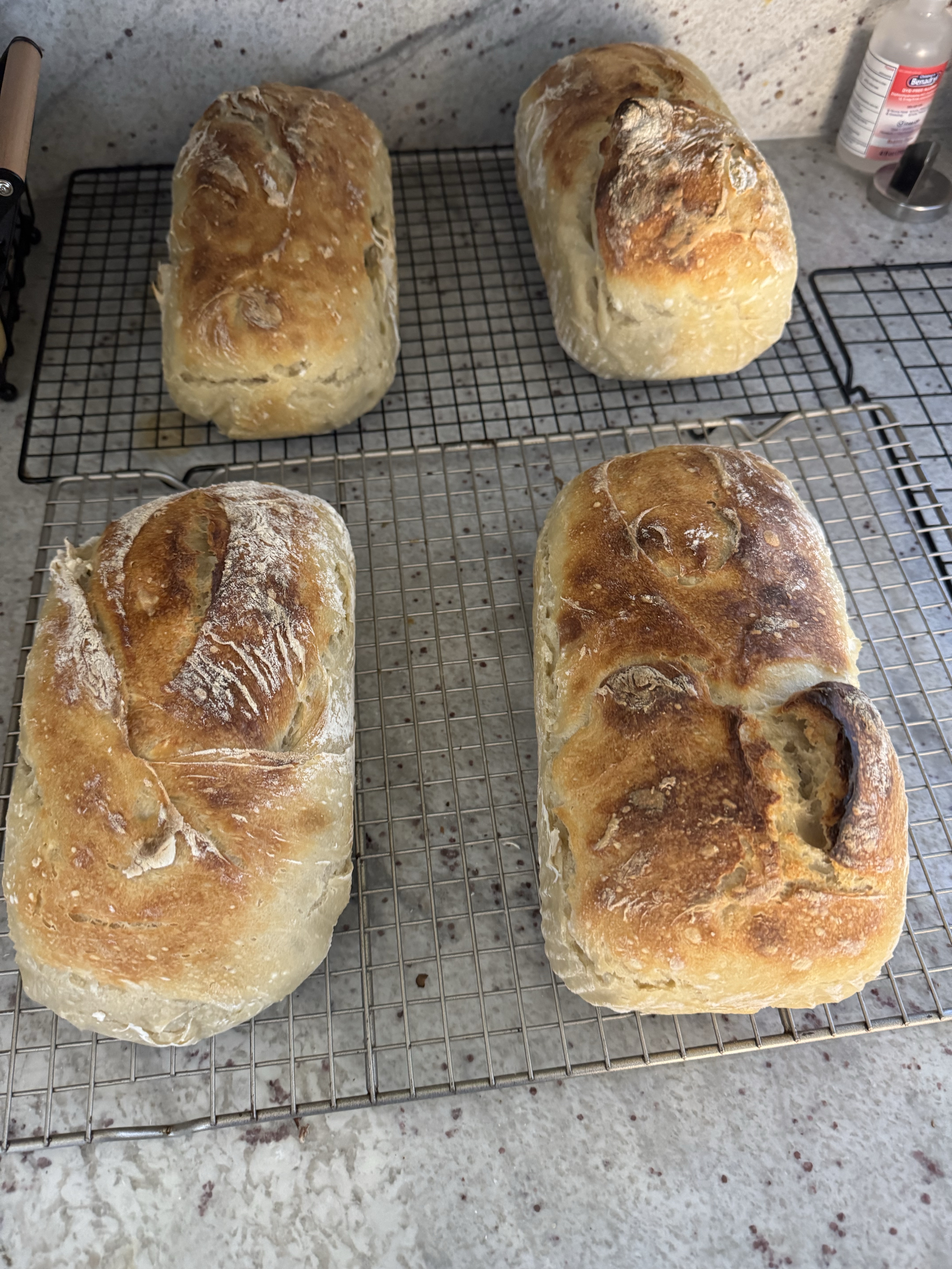 Sourdough 