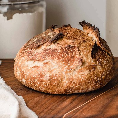 Plain Jane Sourdough