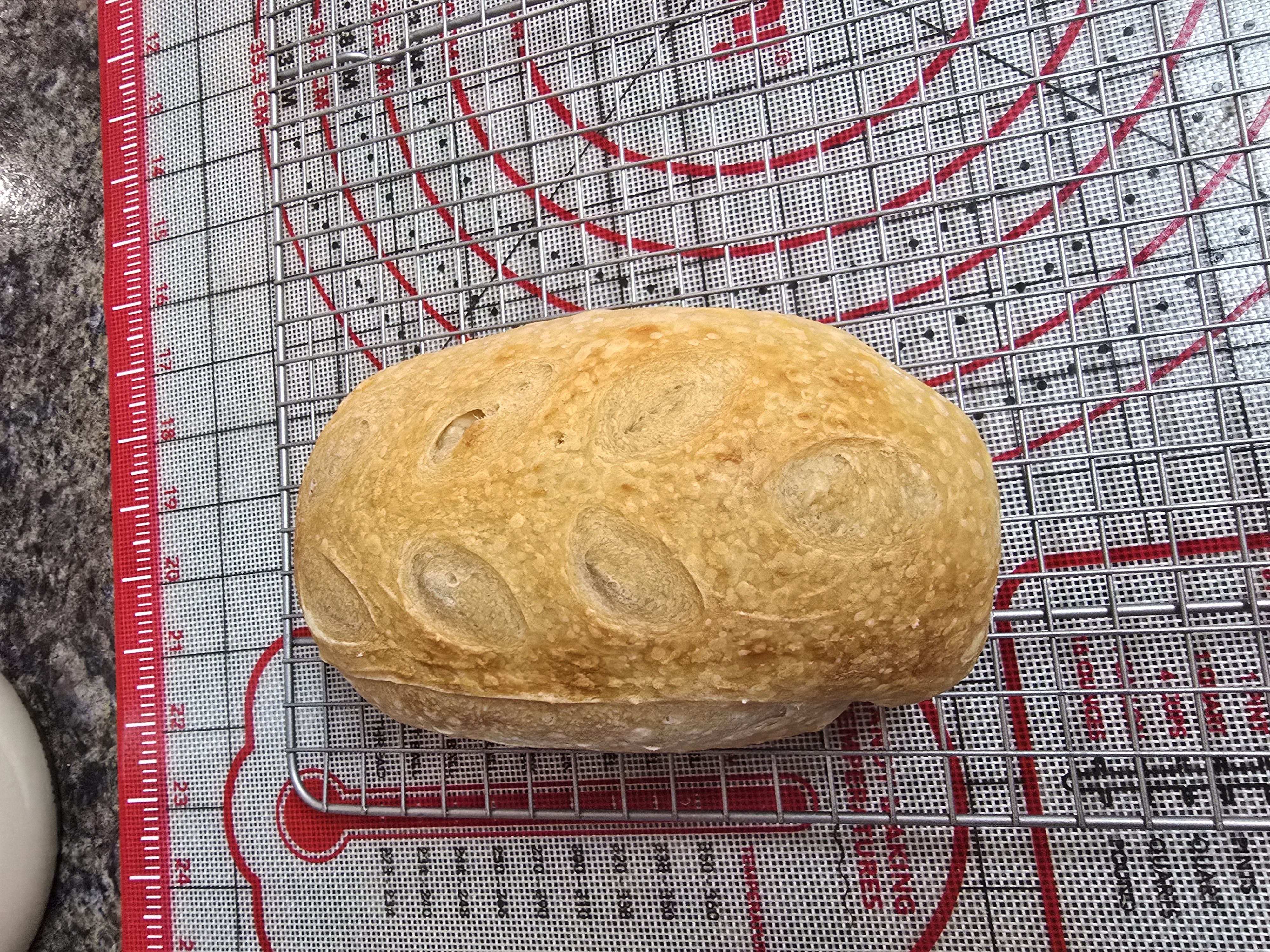 Half Loaf Plain Sourdough