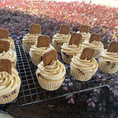 1 Dozen Biscoff Cupcakes