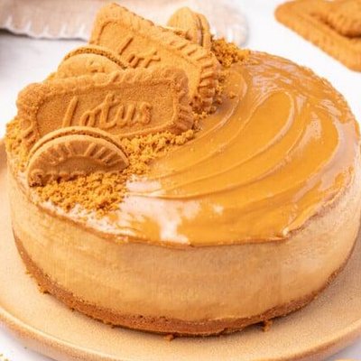  No Bake Biscoff Cheese Cake 