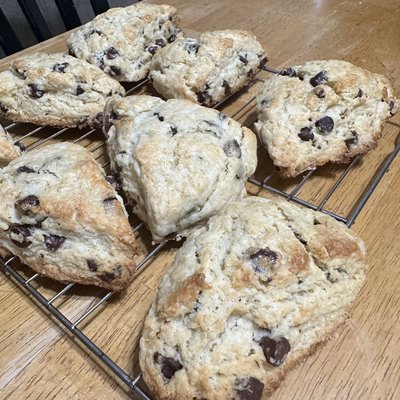 Sourdough Chocolate Chip Scone-Individual 