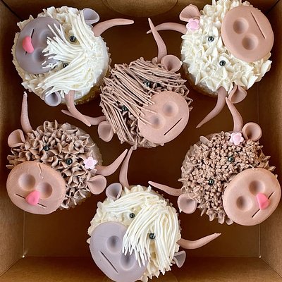 Highland Cow Cupcakes