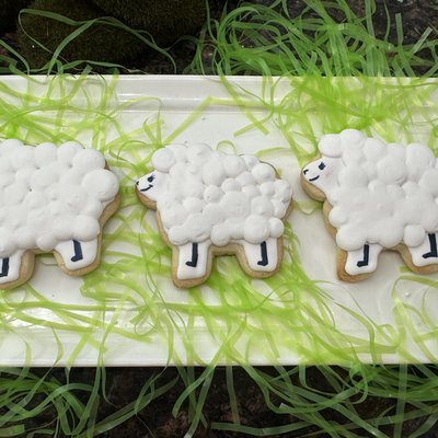 Sugar Cookies