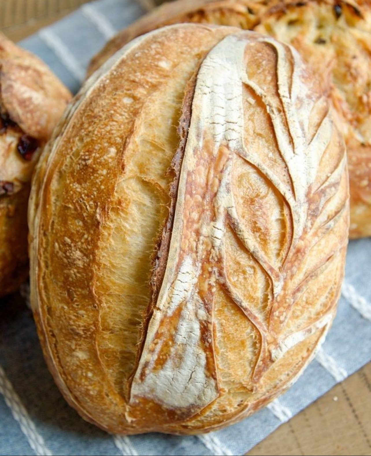 Sour Dough