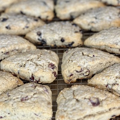 SD Sugar Scones Cranberry Orange 6 ct
