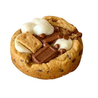 Campfire S’mores