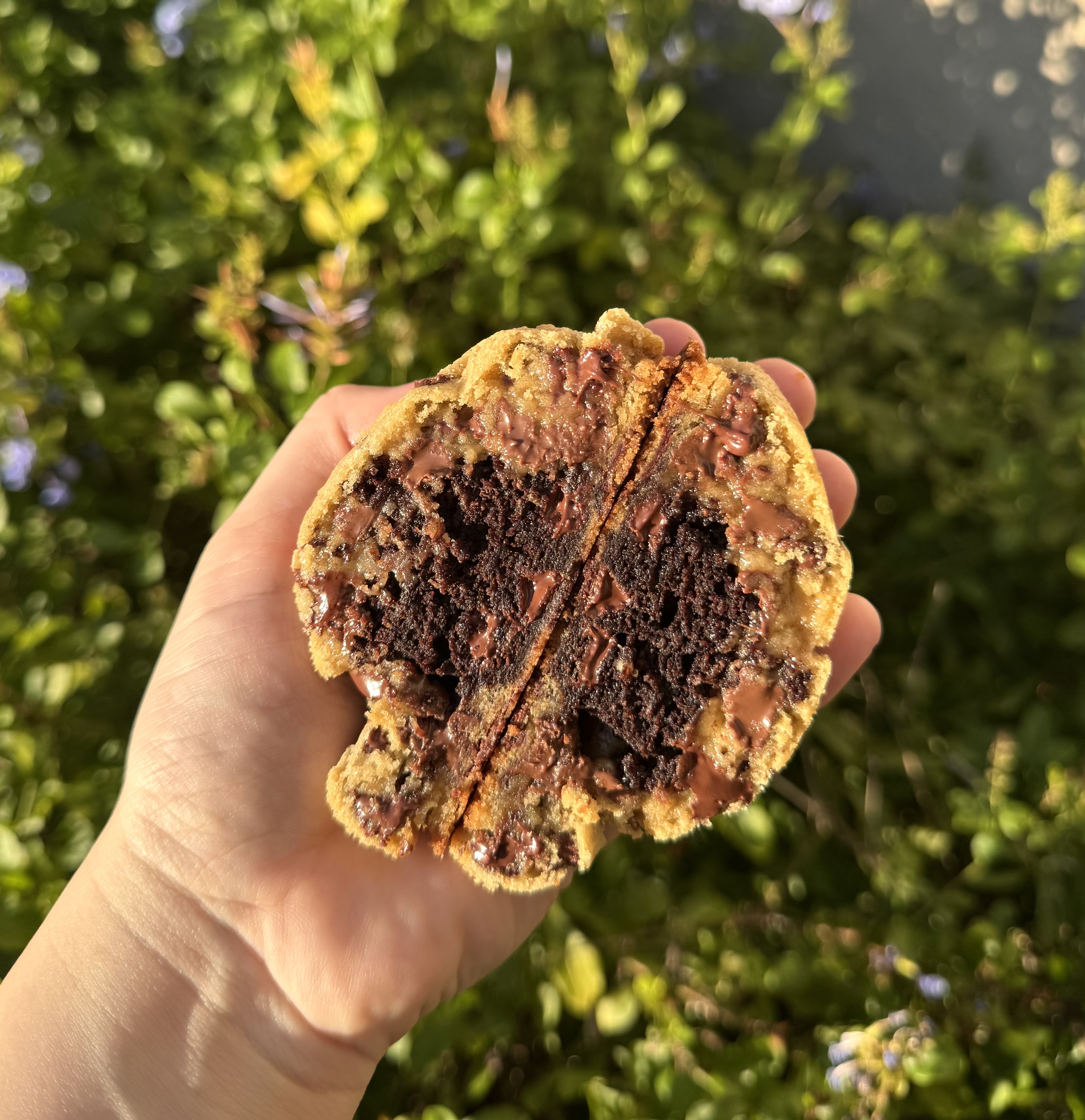 Brookie Cookie 