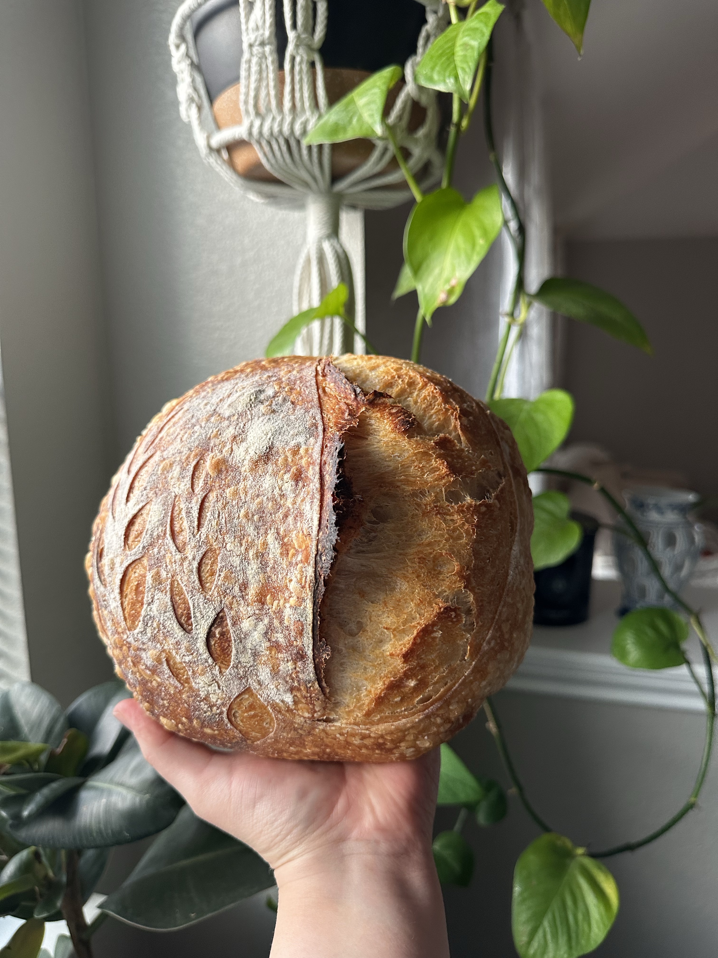 OG Sourdough 