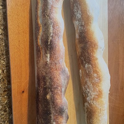 Sourdough French Baguettes (2)
