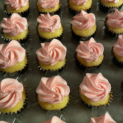 Mini Cupcakes 