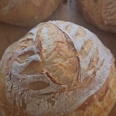 Plain Sourdough Loaf