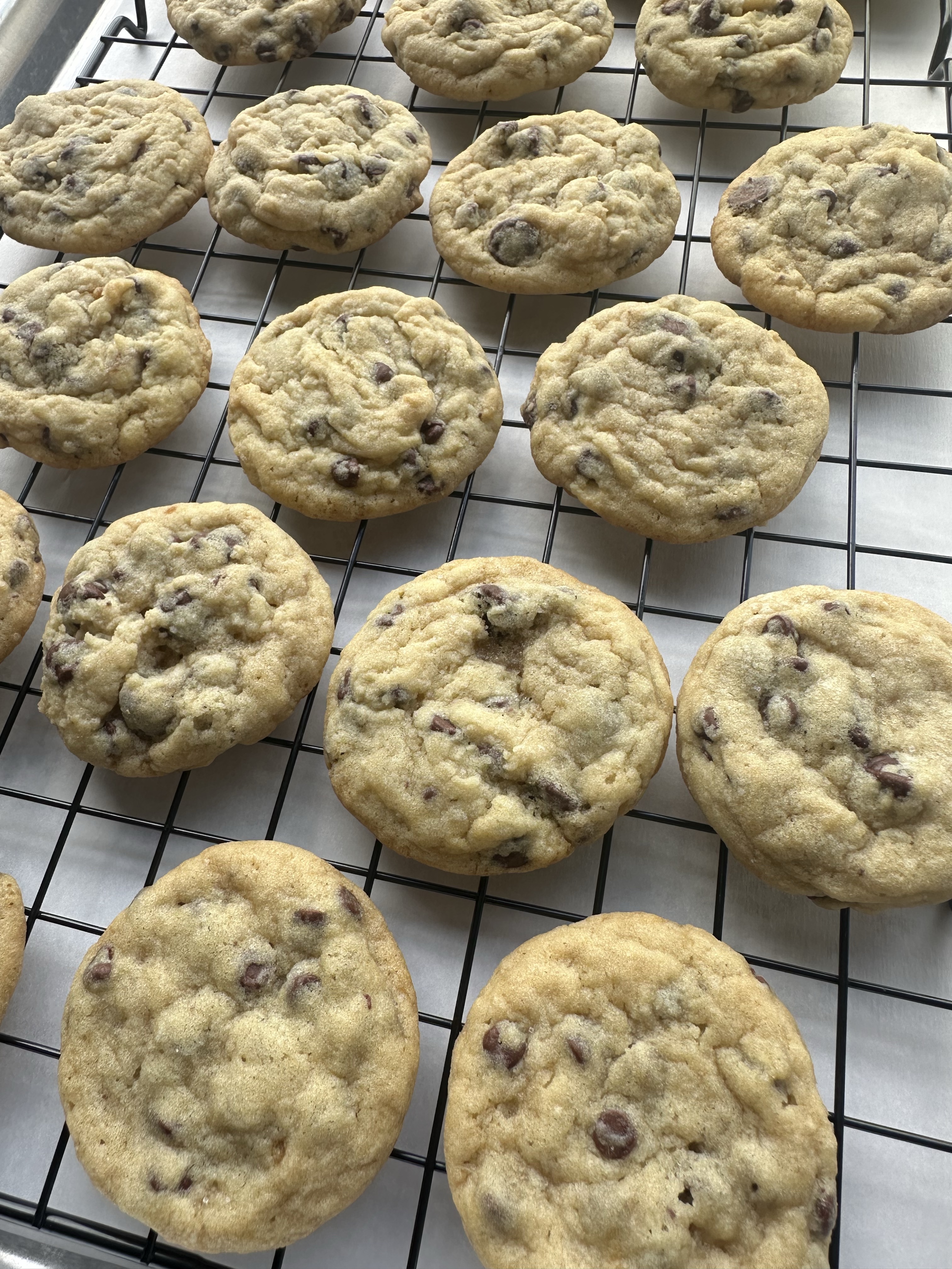 Chocolate Chip Cookies
