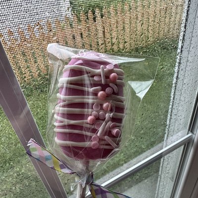 Chocolate Cake Pops (12 COUNT)