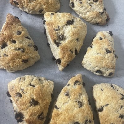 Sourdough Chocolate Chip Scones 8ct