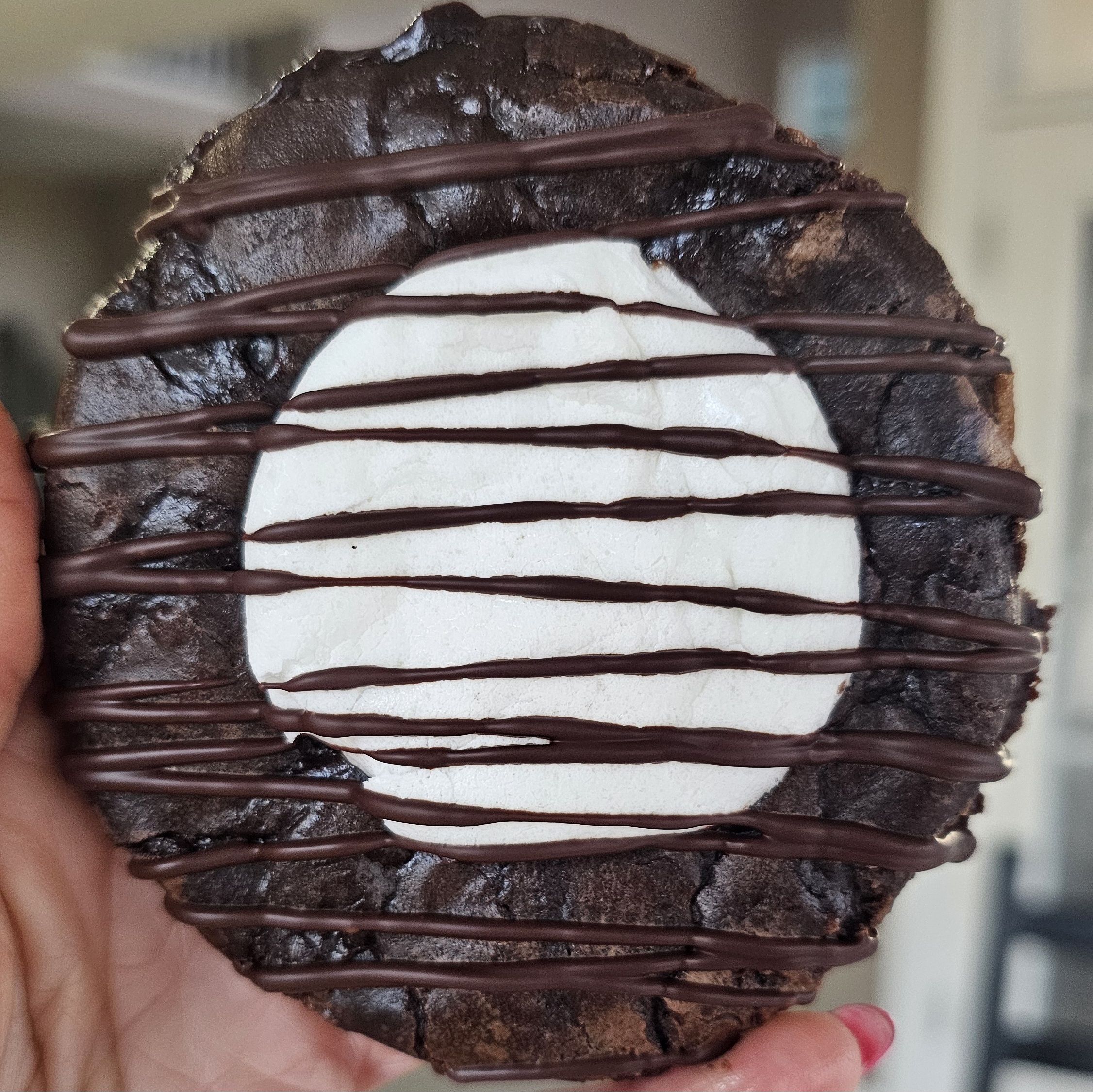 Hot Chocolate Fudge Cookies 