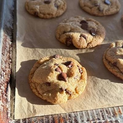 Sourdough Chocolate Chip Cookies 