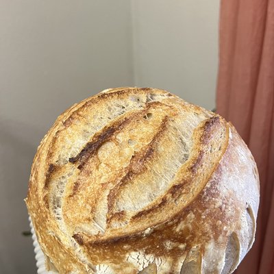 Plain Sourdough Boule