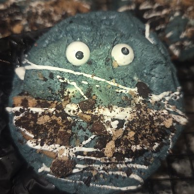 Cookie Monstar (6)