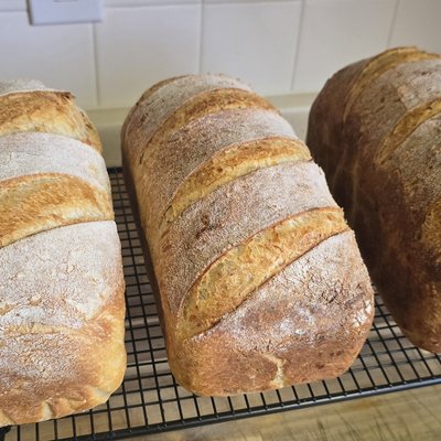 Rosemary Parmesan 