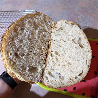Classic Sourdough Loaf 