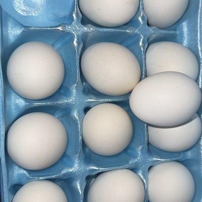 Dozen Farm Fresh Duck Eggs