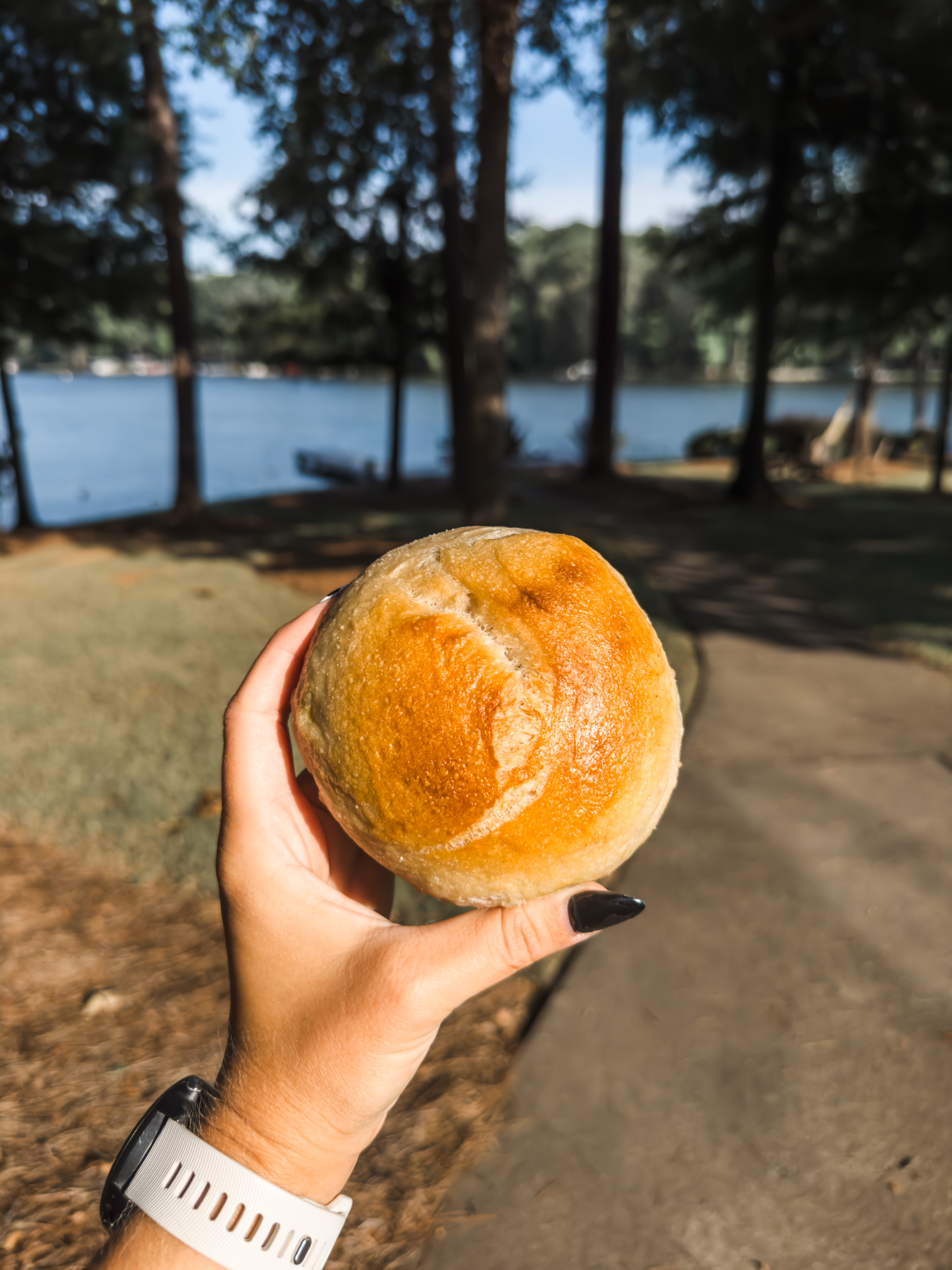 Sourdough Bagels