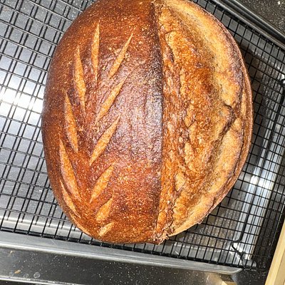 Whole Wheat Sourdough Loaf 