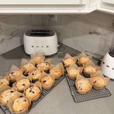 Homemade Muffins 