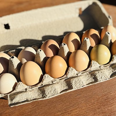 Farm Fresh Eggs