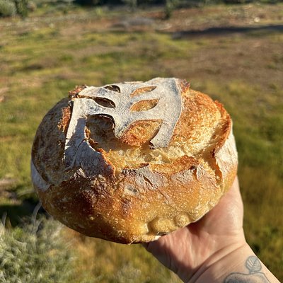 Classic Plain Sourdough Loaf 